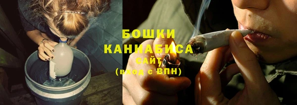 прущие крисы Белокуриха