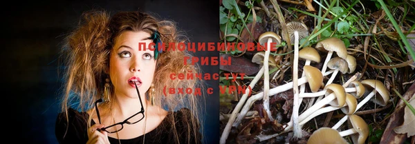 mdpv Белоозёрский