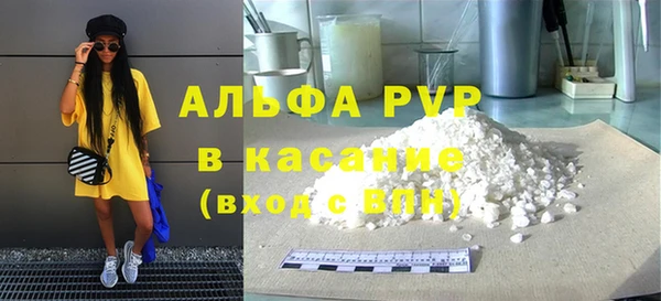 прущие крисы Белокуриха